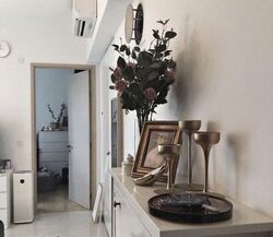 Stars Of Kovan (D19), Apartment #536932441